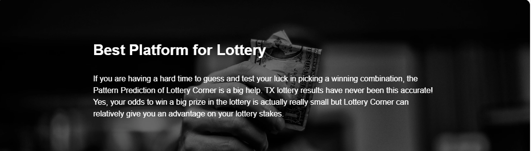 Decoding the TX Lottery: How to Play and Win
